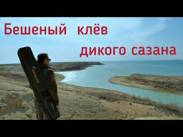 Рыбалка на озеро Тудакуль. Ловим трофейных сазанов и змееголова . (Trophy snakehead on Lake Tudakul)