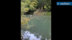 В России поймали в реке крокодила