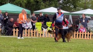 ПП 259 EROS Team Torretta / Моно немецких овчарок ПК БРОННИЦЫ 10.08.2024