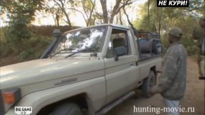 Южная импала. Охота в Танзании - 2021г