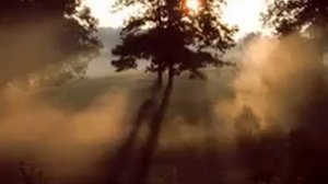 8.Утренний привет (в/ц Прекрасная мельничиха)