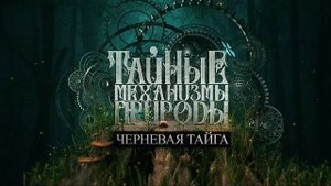 Черневая тайга. Тайные механизмы природы