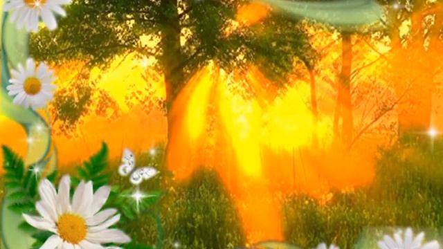 Голос сердца!. смотреть онлайн