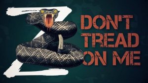 Dont tread on me! - На Украине нацизма нет!