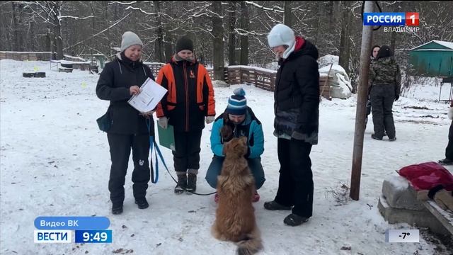 Собака-участница владимирского проекта "Пушистая библиотека" прошла ментал-тест в Москве смотреть онлайн