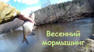 Весенний мормышинг.mp4