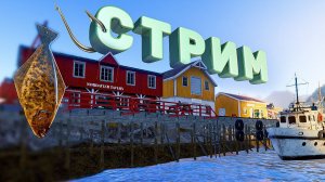 МАТЧИ НА ЛАДОЖСКОМ АРХИПЕЛАГЕ И ЯМЕ СТРИМ РУССКАЯ РЫБАЛКА 4 РР4 РОЗЫГРЫШИ