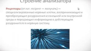 Психология урок 16 Ощущения