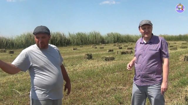 7-серия. Люцерна ДЖЕА экономит время, деньги и силы (28-06-2018) смотреть онлайн