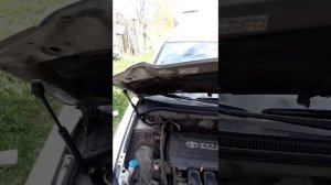 Газовый упор капота Avensis T25.