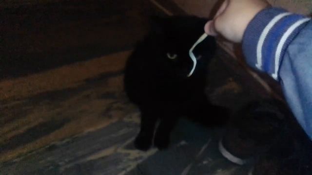 Маркуша и сыр смотреть онлайн