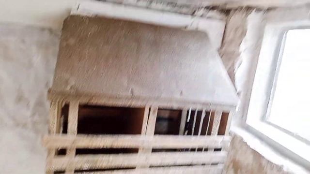 Раствор извести/побелка курятника/ кошка с мышкой. смотреть онлайн