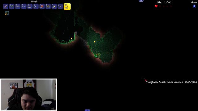 Terraria but enemies have RANDOM AI... смотреть онлайн