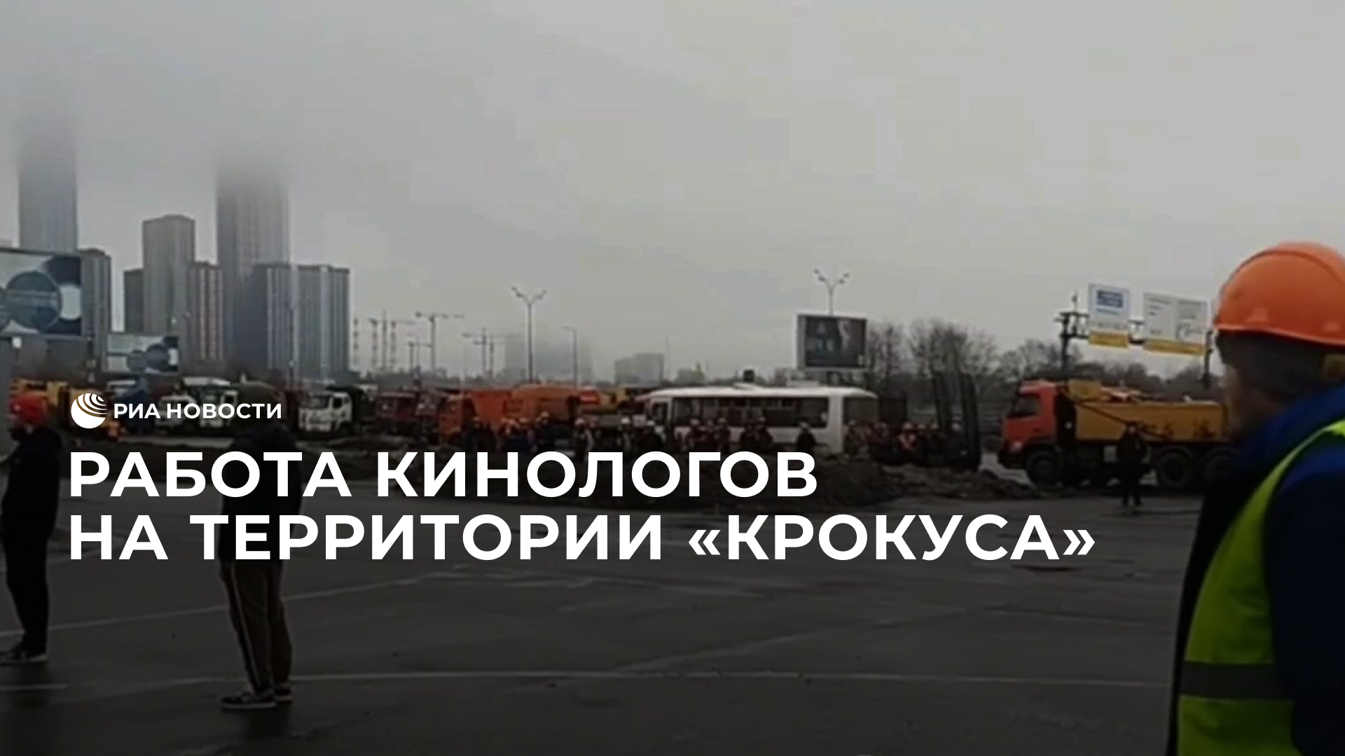 Услуги предоставлены в полном объеме. Выполнено в полном объеме. Гарантия завода изготовителя. Сбор информации фото. Мужчина с планшетом.