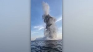 Если Бы Это Не Сняла на Камеру, Никто бы Точно не Поверил