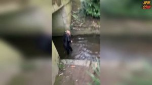 HFM COUB BEST CUBE Best Coub Приколы 2021(1)(9)