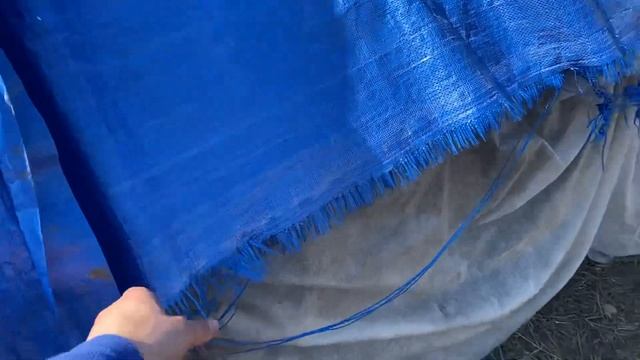 Тарпаулин - опыт одного сезона на ферме Лукино смотреть онлайн