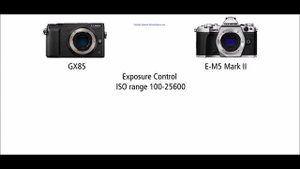 Panasonic LUMIX GX85 vs Olympus OM-D E-M5 Mark II