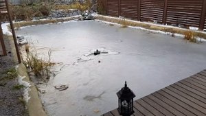 Сколько стоит пруд построить!)