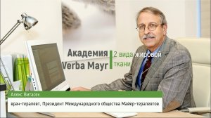 Академия VERBA MAYR: чем опасен висцеральный жир? Верба Майер