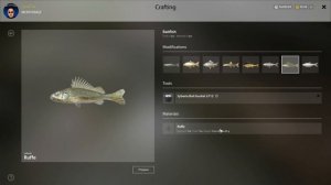 Russian Fishing 4 - Donets Ruffe