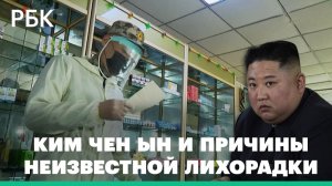 Ким Чен Ын пригрозил чиновникам, допустившим пандемию в Северной Корее