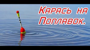 Рыбалка в сельском пруду на поплавок.Карась на удочку.