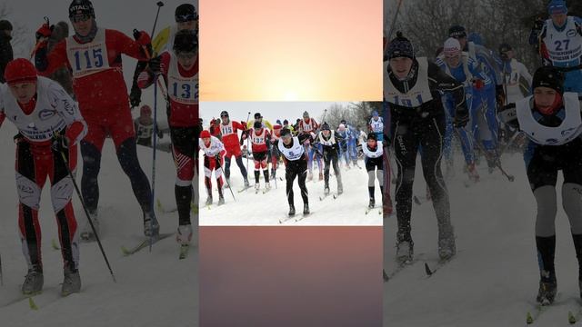 Спорт в Тверской области