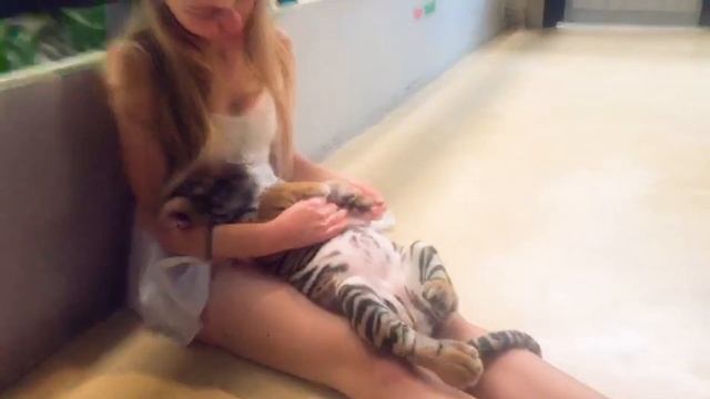 ВЛОГ Царфиных Отмечаем Годовщину СВАДЬБЫ 1 год ! ШИКАРНЫЕ подарок от Бога ! Тайланд 2020 смотреть онлайн