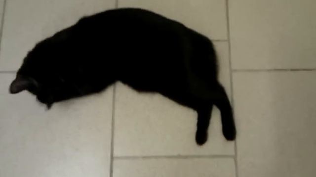 begemoth смотреть онлайн