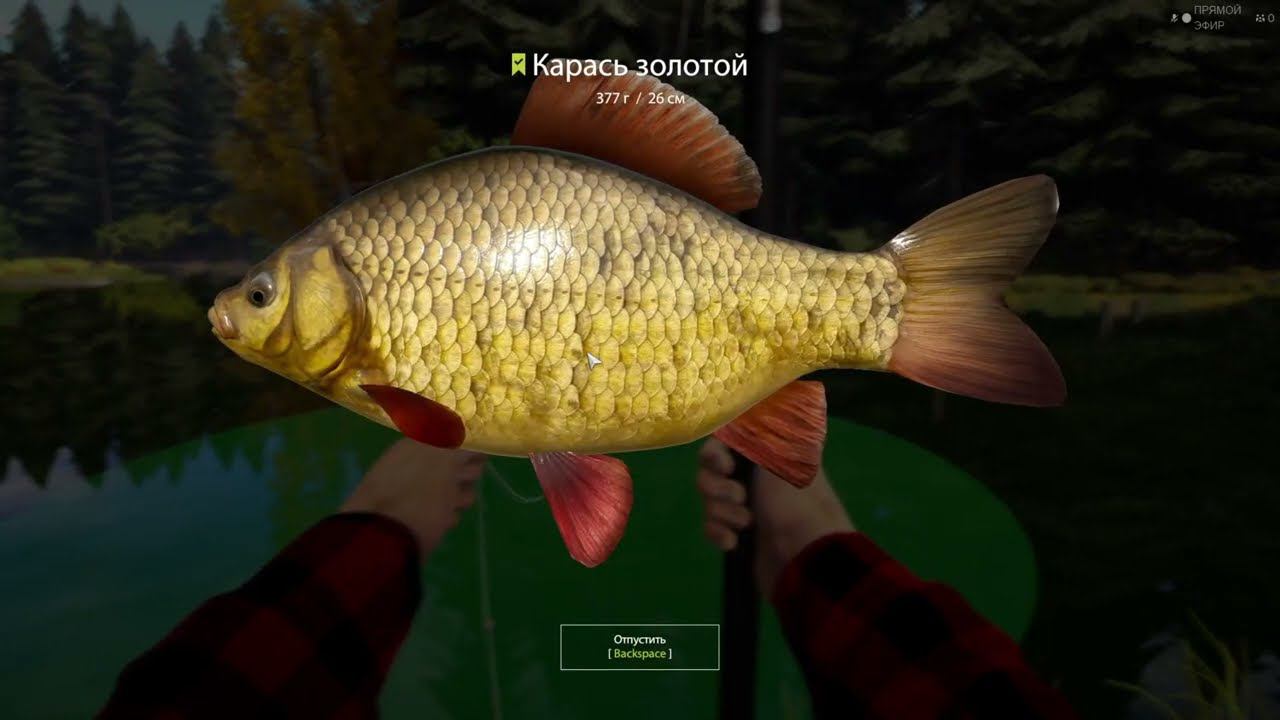 РУССКАЯ РЫБАЛКА