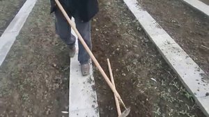 Садово огородный инструмент Испытание плоскореза Тяни толкай.
