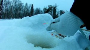 Зимняя рыбалка со льда на красивой старице. Ловля сороги со льда. Зимняя рыбалка 2019-2020.