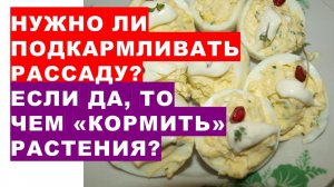 Нужно ли подкармливать рассаду? Если да, то чем?Do I need to feed seedlings? If yes, then with what?