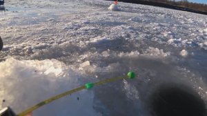 Первый ЛЕД 2022-2023 на ТЕЧЕНИЕ! Зимняя Рыбалка на Оке 2022-2023!