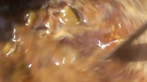 Мой Гуру - авторский, документальный фильм Руслана Панкратова