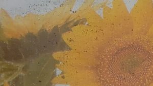 Выращивание салата методом аэропоники. Часть 1