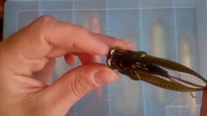 Видеообзор  воблера Megabass Pop Max. По заказу Fmagazin.