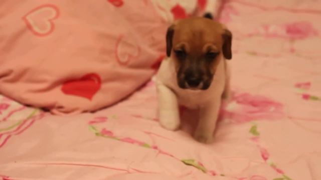 Мальчик в Благовещенск смотреть онлайн