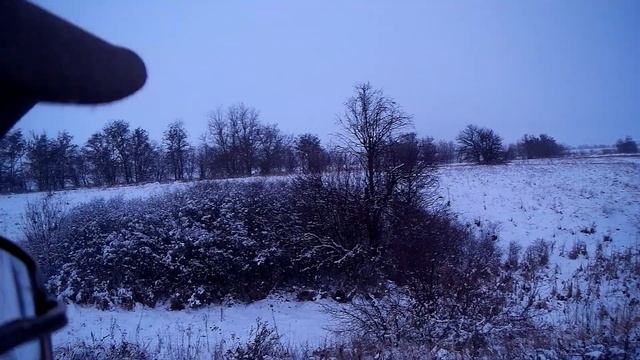 Терновый куст, а там заяц смотреть онлайн