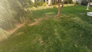 Lara Barut Collection 5* или немного турецкого Лакшери зимой , январь 2023 года