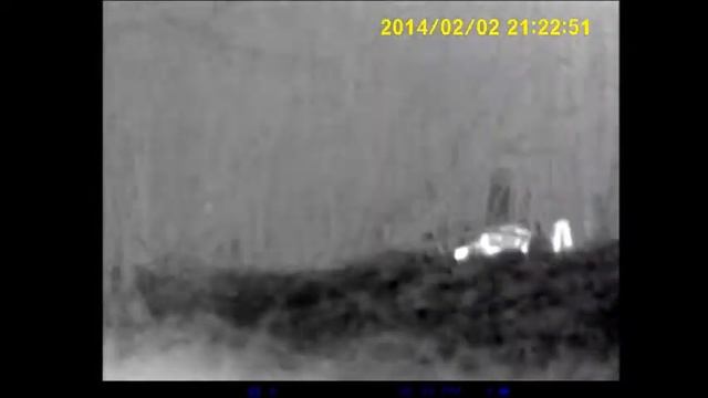 Thermal deer смотреть онлайн