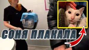 Vlog ➤ СОНЕ СДЕЛАЛИ ОПЕРАЦИЮ _ УДАЛИЛИ 11 ЗУБОВ 😱 _ ОТХОДИТ ОТ НАРКОЗА _ 6 часть