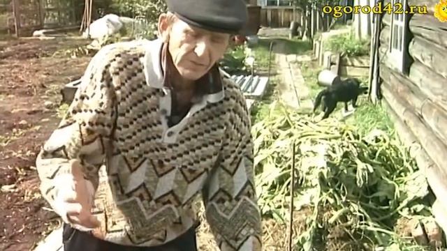 Укрытие рамами смотреть онлайн