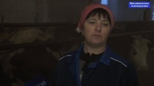 В селе Полуямки модернизировали молочную ферму