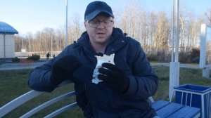 Шаурмилс: съесть шаурму у автовокзала