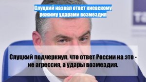 Слуцкий назвал ответ киевскому режиму ударами возмездия