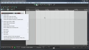 Изучаем программу Reaper- тейки, айтемы, стемы (часть 3)