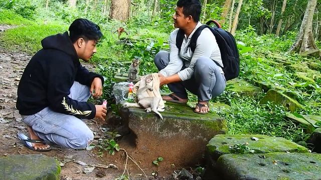 We feed her milk & brother kosol make a small review about her as well before we bring her back