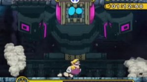 Wario Land: Shake It! - Boss 1 - Rollanratl Battle - 100% Completion